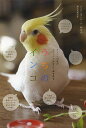 うちのインコ インコへの愛がギューッと深まる「あるある」/コンパニオンバード編集部【1000円以上送料無料】
