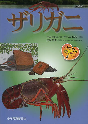 ＜最大10万pt当選※5千円以上購入&エントリー 8/20~31まで＞ザリガニ／中山れいこ／アトリエモレリ／久居宣夫