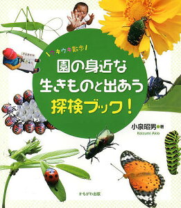 園の身近な生きものと出あう探検ブック! ウキウキ散歩／小泉昭男【1000円以上送料無料】