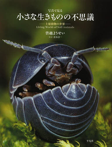 Nonfiction - 【送料無料】写真で見る小さな生きものの不思議 土壌動物の世界／皆越ようせい