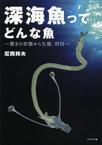 【送料無料】深海魚ってどんな魚 驚きの形態から生態、利用／尼岡邦夫