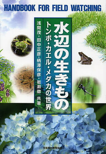 水辺の生きもの トンボ・カエル・メダカの世界／浅間茂／田中正彦／柄澤保彦【1000円以上送料無料】