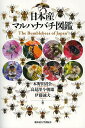 日本産マルハナバチ図鑑／木野田君公／高見澤今朝雄／伊藤誠夫【1000円以上送料無料】