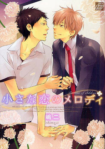 小さな恋のメロディ／嶋二【1000円以上送料無料】