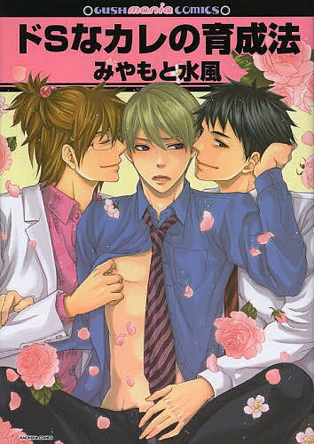 ドSなカレの育成法／みやもと水風【1000円以上送料無料】