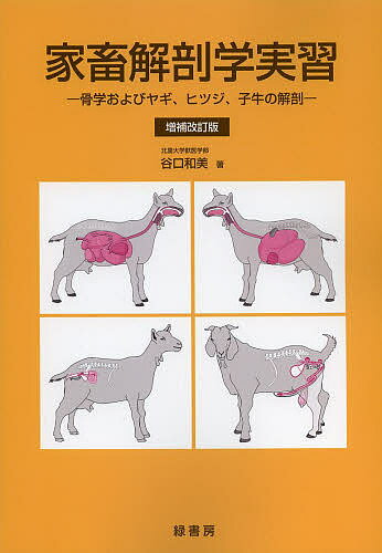 家畜解剖学実習 骨学およびヤギ、ヒツジ、子牛の解剖／谷口和美【1000円以上送料無料】