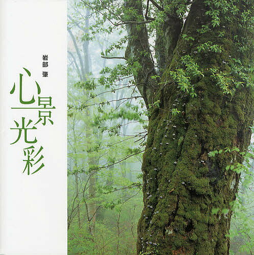 著者岩部肇(著)出版社日本写真企画発売日2012年12月ISBN9784903485768ページ数59Pキーワードしんけいこうさい シンケイコウサイ いわべ はじめ イワベ ハジメ9784903485768