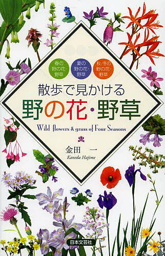 【送料無料】散歩で見かける野の花・野草 春の野の花・野草 夏の野の花・野草 秋/冬の野の花・野草／金..