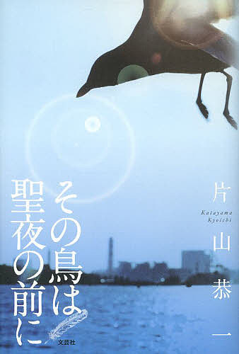 著者片山恭一(著)出版社文芸社発売日2013年10月ISBN9784286144542ページ数187Pキーワードそのとりわせいやのまえに ソノトリワセイヤノマエニ かたやま きよういち カタヤマ キヨウイチ9784286144542スタッフPOP『世界の中心で、愛をさけぶ』から12年、父との絆、病、そして別れを描いた愛の物語。 資料を集め、自分の人生を記録しようと最期の準備を進めていた父。葬儀のあと、遺された資料から私ができることは、父と家族の物語を紡ぐことだった——。戦中の朝鮮半島で生まれ、従軍、敗戦、そして結婚。趣味に生き、家族を困窮させた父だったが、そこには無骨な愛が隠されていた。大切な人との絆、逃れられない病、そして別れを正面から見つめた著者渾身のエッセイ。内容紹介自分の人生を記録しようと、最期の準備を進めていた父。葬儀のあと、遺された資料から私ができることは、父と家族の物語を紡ぐことだった—激動の戦中、焦土からの再出発、そして結婚。趣味に生き、家族を困窮させた父がみせた、息子への無骨な愛の結末は？※本データはこの商品が発売された時点の情報です。