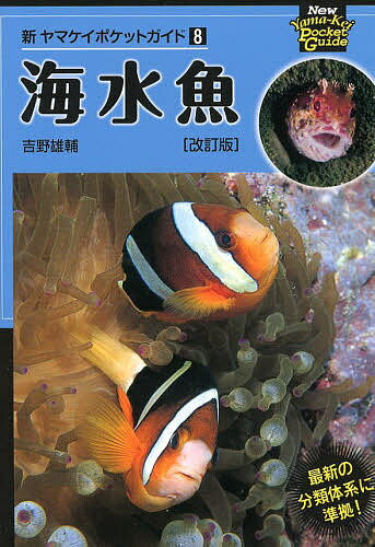 海水魚／吉野雄輔／安延尚文【1000円以上送料無料】