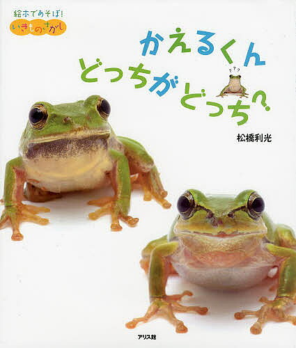著者松橋利光(著)出版社アリス館発売日2014年02月ISBN9784752006626ページ数36Pキーワードえほん 絵本 プレゼント ギフト 誕生日 子供 クリスマス 子ども こども かえるくんどつちがどつちえほんであそぼ カエルクンドツチガドツチエホンデアソボ まつはし としみつ マツハシ トシミツ9784752006626内容紹介どっちかがニホンアマガエル、どっちかがシュレーゲルアオガエル。きみは、わかるかな？さあ、くらべっこしてみよう！※本データはこの商品が発売された時点の情報です。