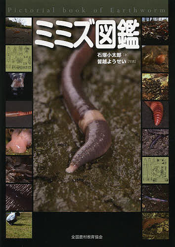 【送料無料】ミミズ図鑑／石塚小太郎／皆越ようせい
