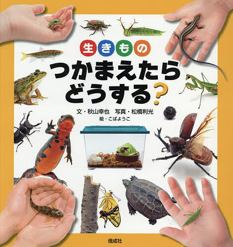 【送料無料】生きものつかまえたらどうする？／秋山幸也／松橋利光／こばようこ