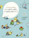 インコがやっぱり、いちばんかわいい! ずっといっしょにいたいよね インコの気持ちがわかる本/只野ことり【1000円以上送料無料】