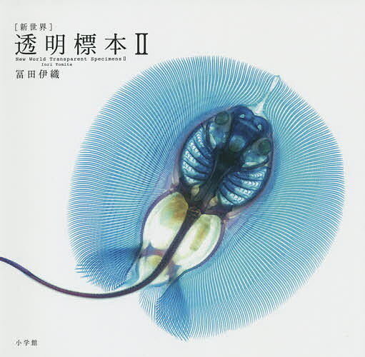 【送料無料】〈新世界〉透明標本 2/冨田伊織/岩瀬成知