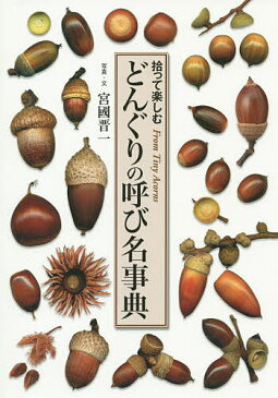 どんぐりの呼び名事典　拾って楽しむ　From　Tiny　Acorns／宮國晋一【1000円以上送料無料】