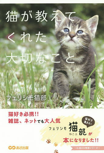 猫が教えてくれた大切なこと／フェ