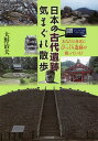 日本の古代遺跡気まぐれ散歩　あなたの身近にびっくり遺跡が眠っている？／大野治夫／旅行【1000円以上送料無料】