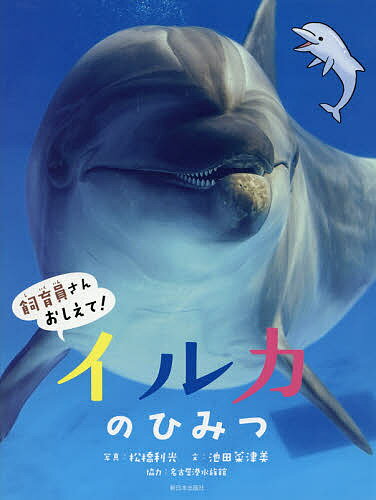 イルカのひみつ／松橋利光／池田菜津美／神田めぐみ／子供／絵本【1000円以上送料無料】