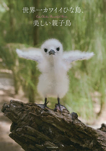 【送料無料】世界一カワイイひな鳥、美しい親子鳥
