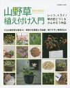 山野草植え付け入門 レッツ、トライ!草の匠とつくるさんやそう作品