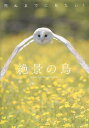 死ぬまでに見たい!絶景の鳥【1000円以上送料無料】