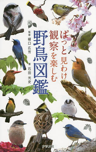 ぱっと見わけ観察を楽しむ野鳥図鑑／樋口広芳／石田光史【1000円以上送料無料】