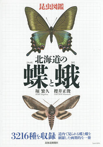 昆虫図鑑 北海道の蝶と蛾 昆虫図鑑／堀繁久／櫻井正俊【1000円以上送料無料】