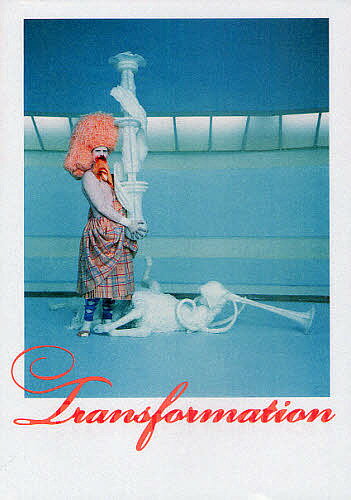 トランスフォーメーション／中沢新一／長谷川祐子【1000円以上送料無料】