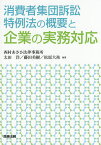 消費者集団訴訟特例法の概要と企業の実務対応／太田洋／藤田美樹／松原大祐【1000円以上送料無料】