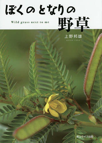 著者上野邦雄(著)出版社青山ライフ出版発売日2015年05月ISBN9784434204692ページ数289Pキーワードぼくのとなりのやそう ボクノトナリノヤソウ うえの くにお ウエノ クニオ9784434204692内容紹介街中にある普通の野草も高原の植物と少しも変わらず懸命に生きている。関東周辺の野草265種を一挙掲載。※本データはこの商品が発売された時点の情報です。
