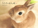 うさぎのモキュ様/ImaiTomoko【1000円以上送料無料】