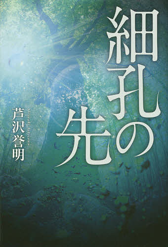 【送料無料】細孔の先／芦沢誉明