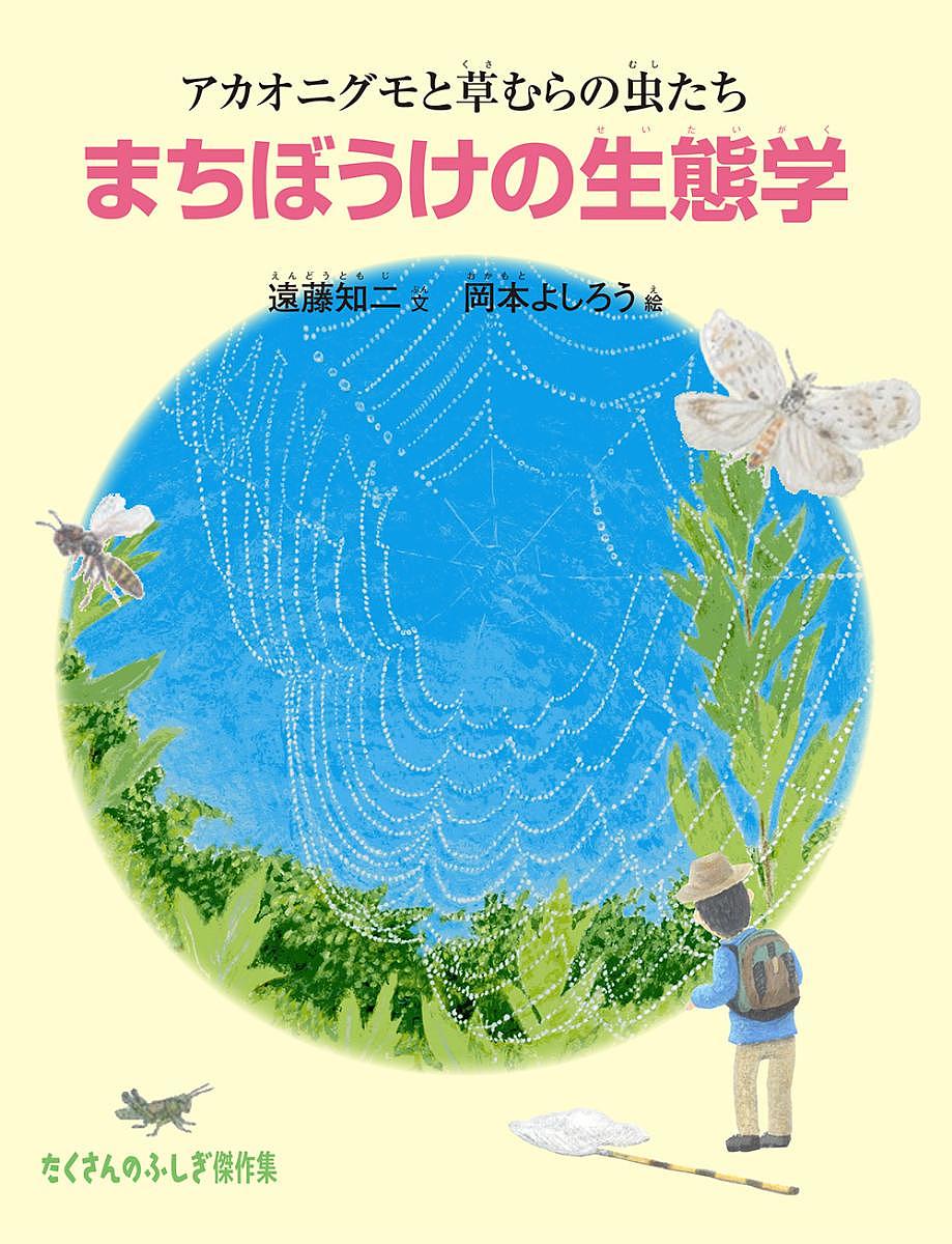 まちぼうけの生態学 アカオニグモと草むらの虫たち／遠藤知二／岡本よしろう【1000円以上送料無料】