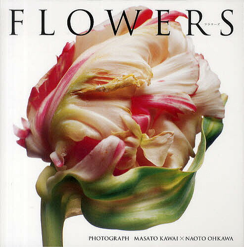 著者河合正人(写真) 大川直人(写真)出版社万来舎発売日2012年08月ISBN9784901221603ページ数68PキーワードふらわーずFLOWERS フラワーズFLOWERS かわい まさと おおかわ なお カワイ マサト オオカワ ...