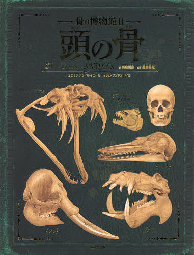 【送料無料】骨の博物館 2／黒輪篤嗣／遠藤秀紀