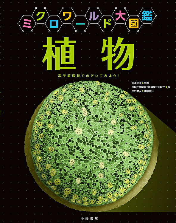 ��ʪ �ŻҸ������ǤΤ����Ƥߤ褦!����¼���ס�1000�߰ʾ�����̵����