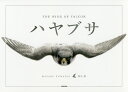 ハヤブサ THE WING OF FALCON／熊谷勝【1000円以上送料無料】