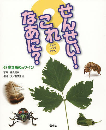 ＜最大10万pt当選※5千円以上購入&エントリー 8/20~31まで＞せんせい!これなあに? なまえしらべずかん 6