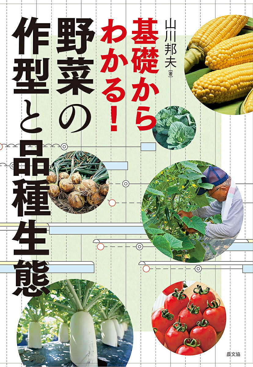 基礎からわかる!野菜の作型と品種生態／山川邦夫【1000円以上送料無料】