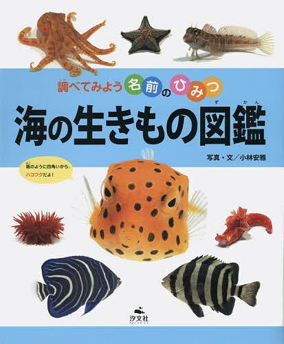 【送料無料】海の生きもの図鑑／小林安雅