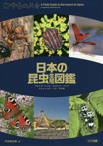 日本の昆虫生態図鑑 チョウ・ガ/トンボ/コウチュウ/バッタ カメムシ・セミ/ハチ/その他／今井初太郎【1000円以上送料無料】