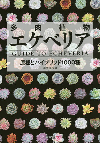 多肉植物エケベリア 原種とハイブリッド1000種／羽兼直行【1000円以上送料無料】