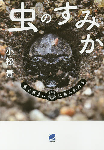 【送料無料】虫のすみか 生きざまは巣にあらわれる／小松貴