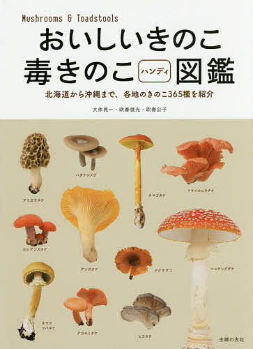タマゴタケは食べられる 似ている毒キノコとの見分け方まとめ Yama Hack