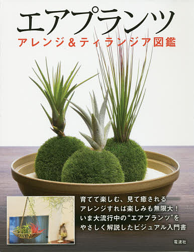 【送料無料】エアプランツ アレンジ&ティランジア図鑑／佐々木浩之