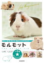 モルモット 住まい、食べ物、接し方、病気のことがすぐわかる!/大崎典子/井川俊彦【1000円以上送料無料】