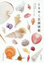ときめく貝殻図鑑/寺本沙也加/池田等/大作晃一【1000円以上送料無料】 ときめく貝殻図鑑/寺本沙也加/池田等/大作晃一【1000円以上送料無料】