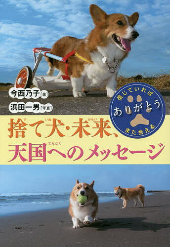 【送料無料】捨て犬・未来、天国へのメッセージ／今西乃子／浜田一男
