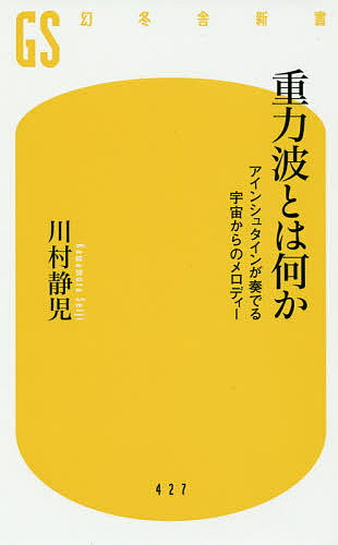 重力波とは何か アインシュタインが奏でる宇宙からのメロディー／川村静児【1000円以上送料無料】